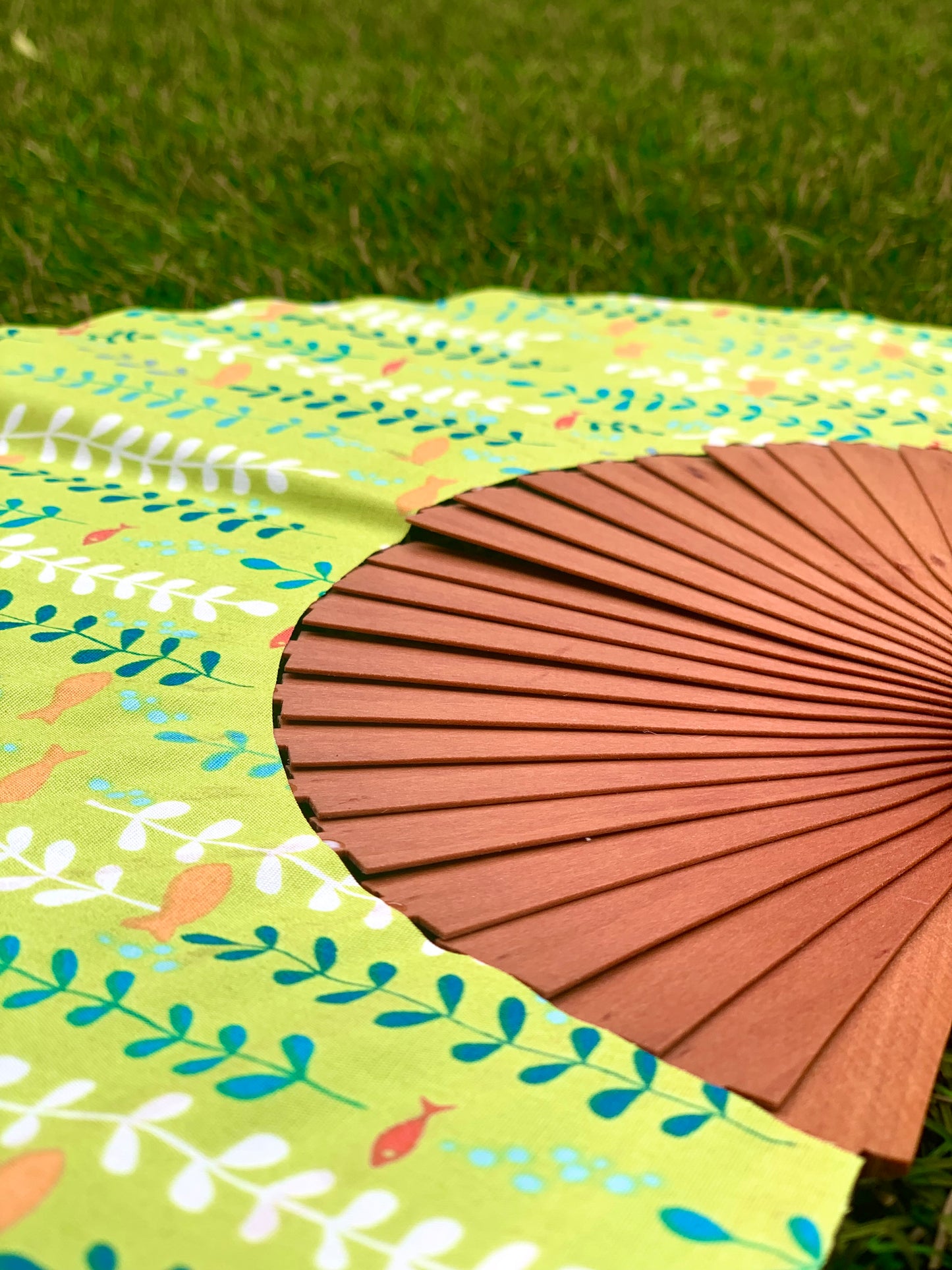 Abanico verde con algas