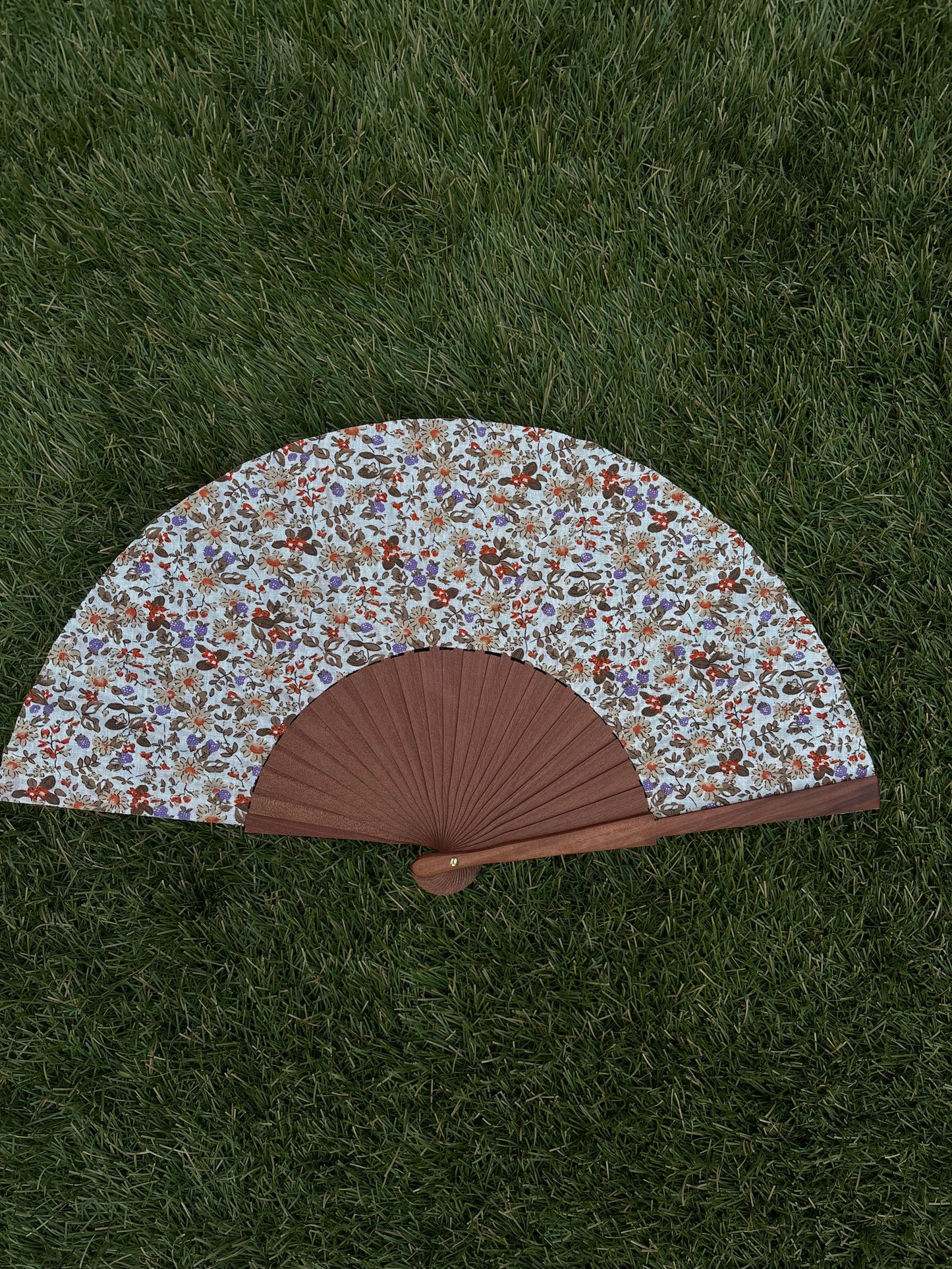 Abanico multiflores marrones sobre blanco